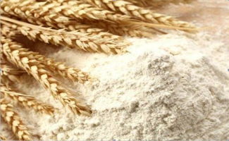 进口乌克兰面粉特级粉一级粉工厂直销批发价格